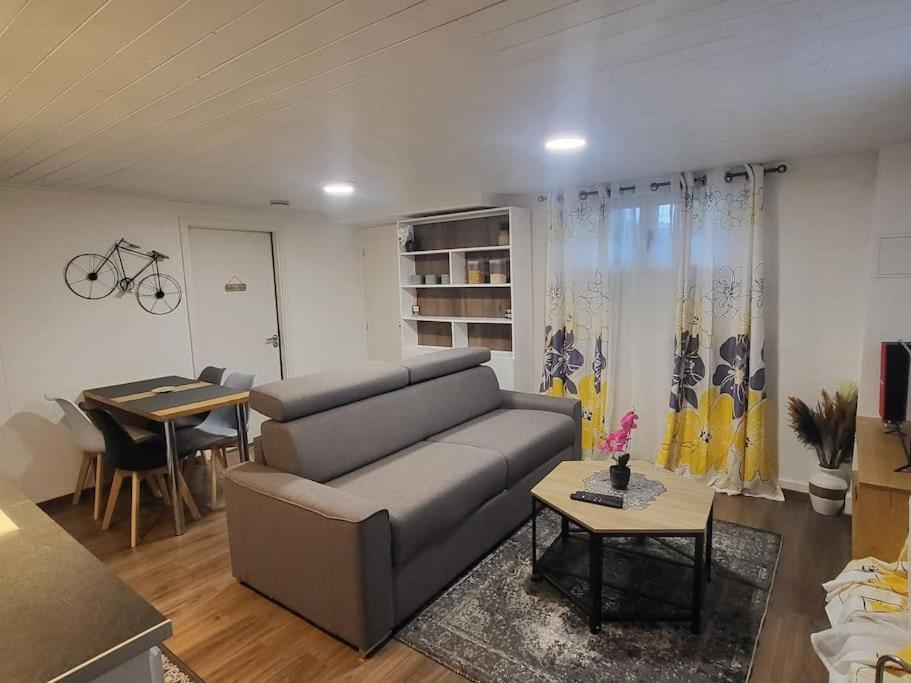 Sanchey Appartement 2 Pieces Pres Du Lac De Bouzey מראה חיצוני תמונה